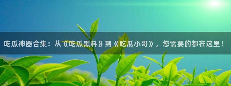 高血糖可以吃籽瓜吗