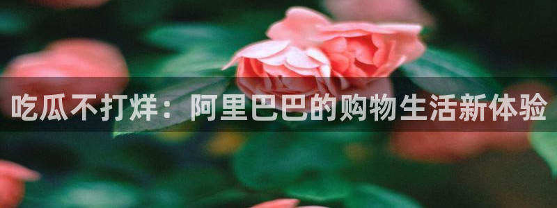 网站吃瓜：吃瓜不打烊：阿里巴巴的购物生活新体验