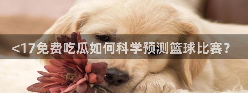 911爆料网红吃瓜