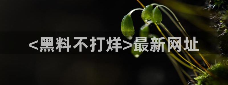 51吃瓜网ccgg：<黑料不打烊>最新网址