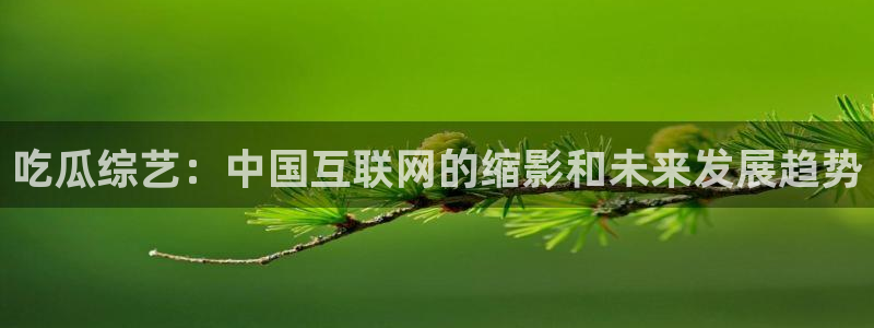 吃瓜群众中的瓜指的是：吃瓜综艺：中国互联网的缩影和未来发展趋势