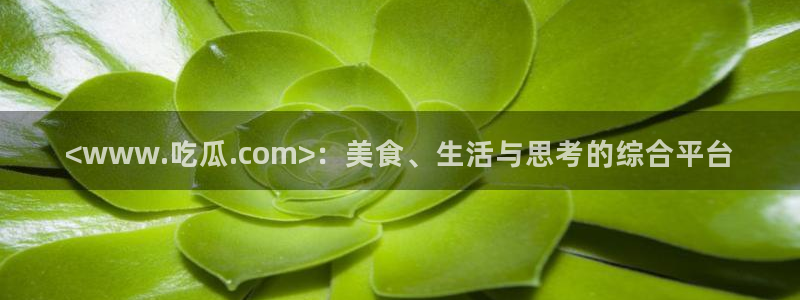 各种网红爆料吃瓜