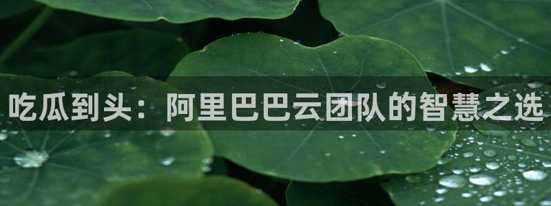www.吃瓜：吃瓜到头：阿里巴巴云团队的智慧之选