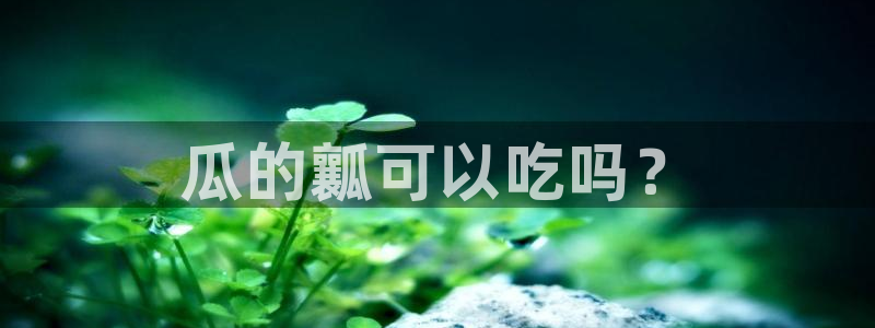 高血糖可以吃贝贝瓜吗：瓜的瓤可以吃吗？
