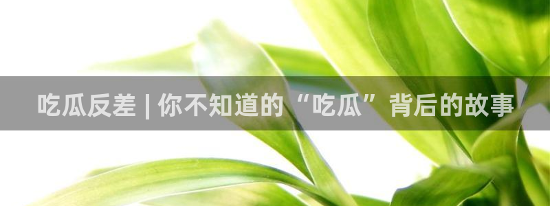 91吃瓜今日吃瓜入口