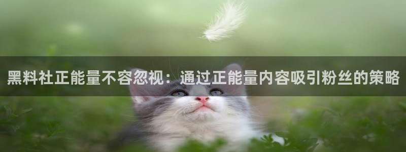 51吃瓜网今日榜单：黑料社正能量不容忽视：通过正能量内容吸引粉丝的策略