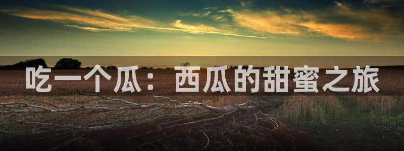 cggolive51吃瓜:吃一个瓜:西瓜的甜蜜之旅